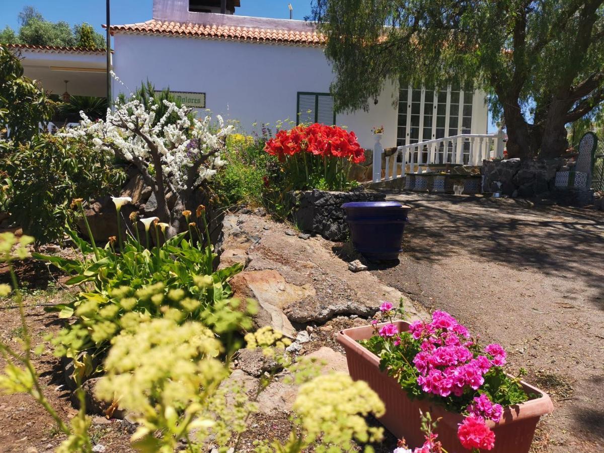 Casa Rural Dolores En Adeje Costa Adeje  Exteriör bild